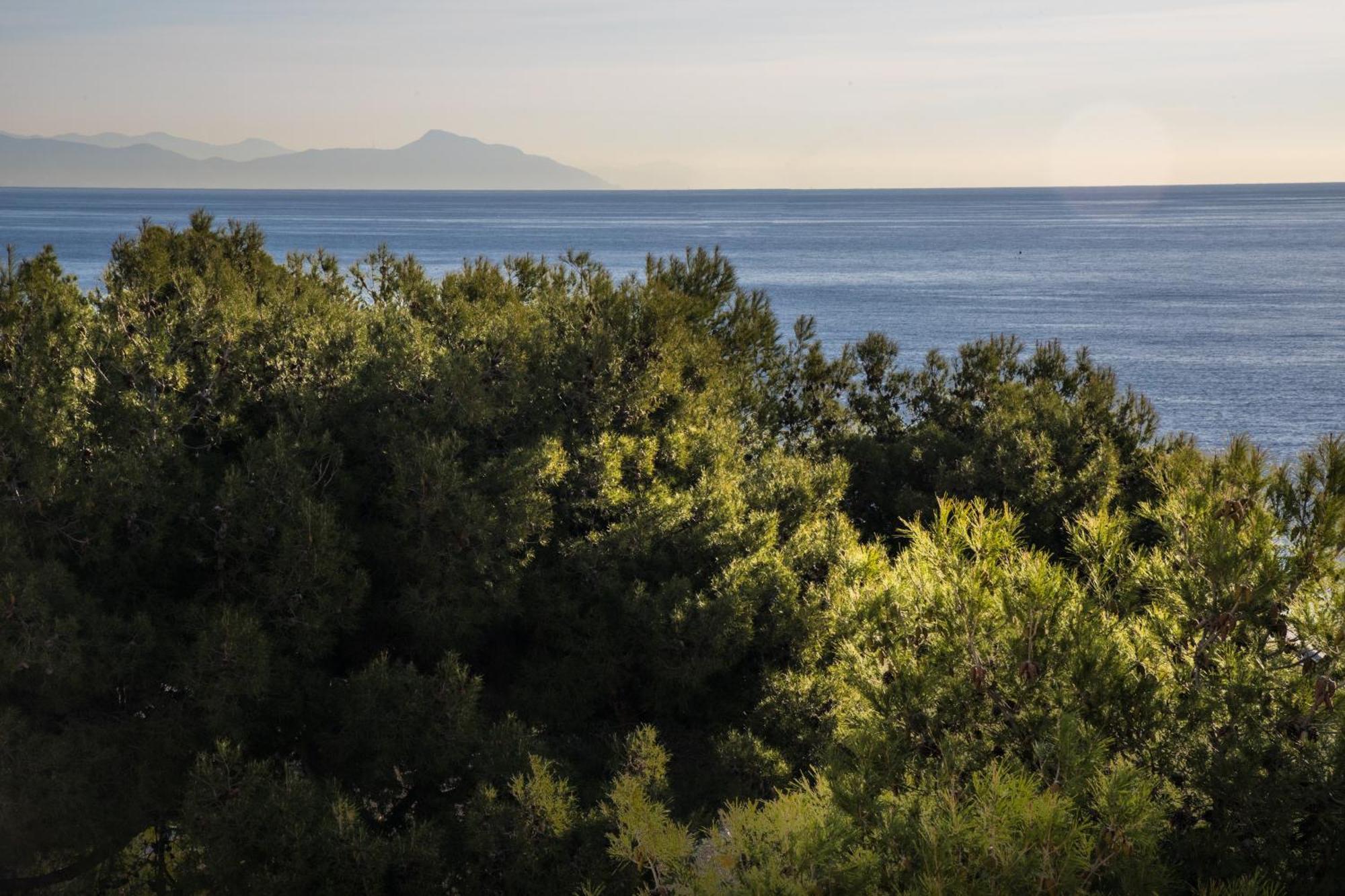 Ena Hotel Arenzano Dış mekan fotoğraf